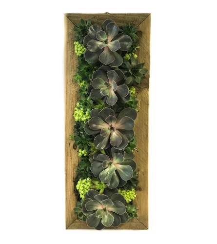 Hanging Succulent Garden 8x21