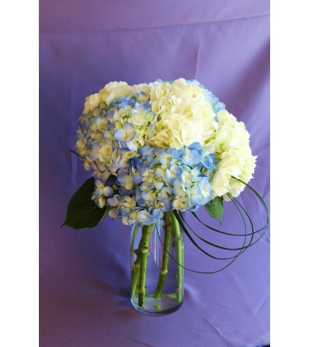 Skipper Blues - Cohasset Collection TM