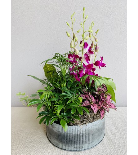 Rustic Round Galvanized Dish Garden
