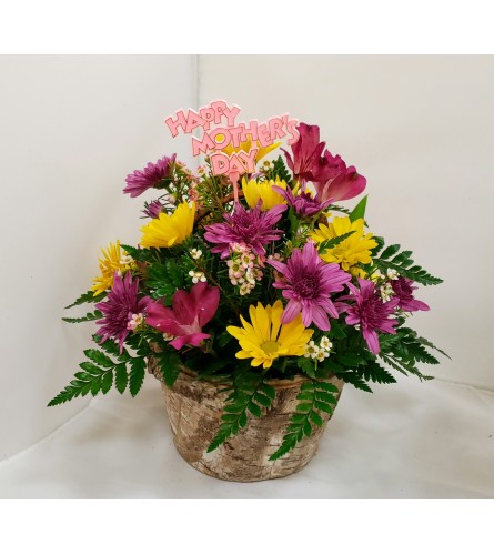 Mother's Day Birch Basket
