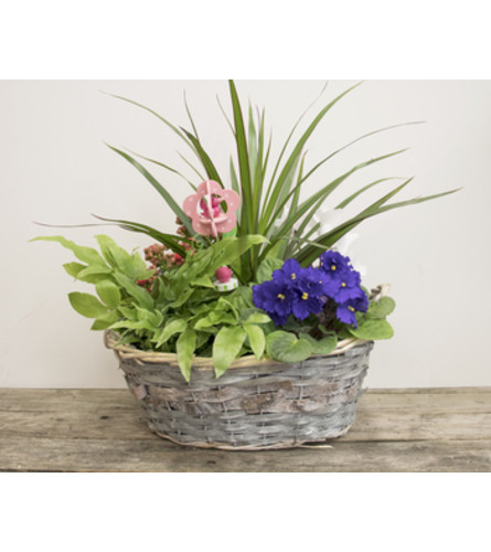 Basket of Beauty