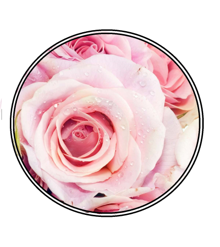 50 single wrapped roses