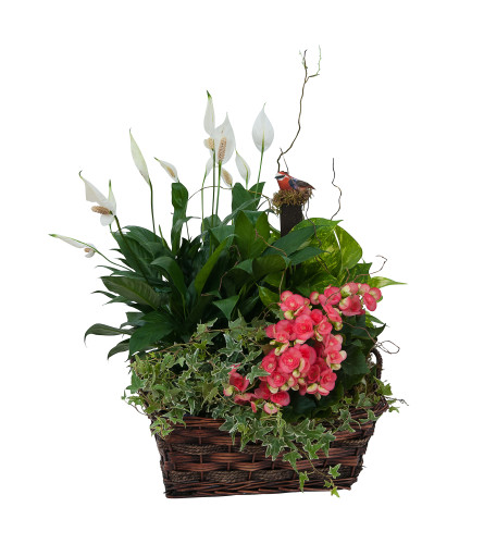 Living Blooming  Garden Basket by Country Gardens