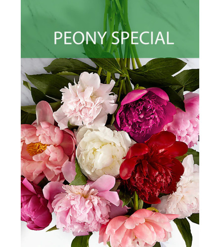 Wrapped Peony Special - Deluxe. An arrangement by Flowers of Charlotte.