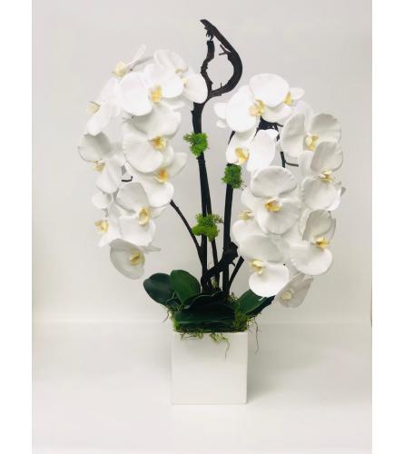 Artificial Orchid plant