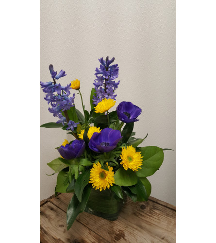 Smart Bold Spring