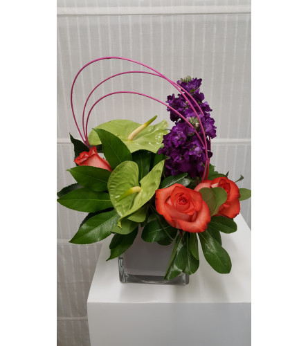 Smart Bright Tropics