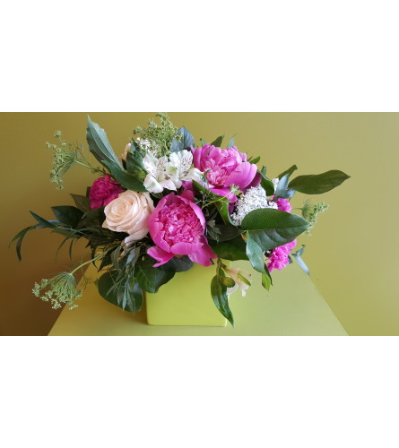 Smart Garden Pinks