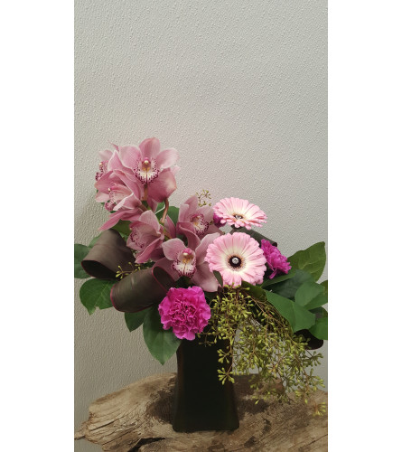 Smart Soft Tropics