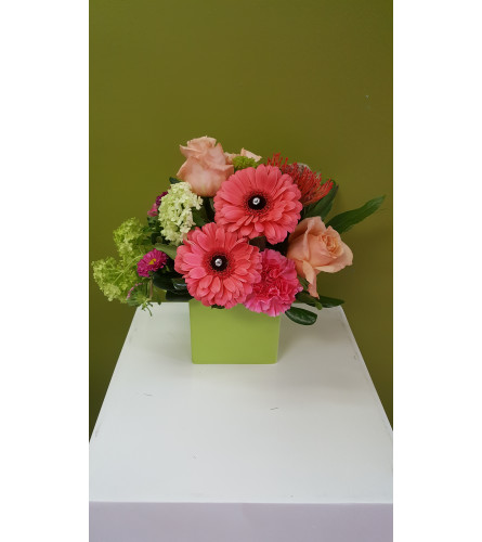 Smart Summer Corals