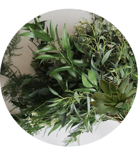 Abundant Foliage