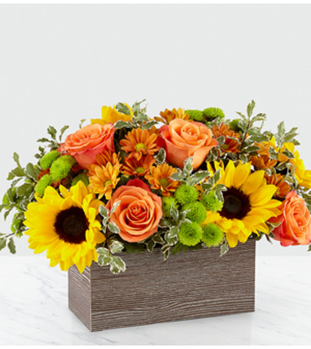 The FTD Happy Harvest Garden - Deluxe. An arrangement by Pierson's Flower Shop and Greenhouses.