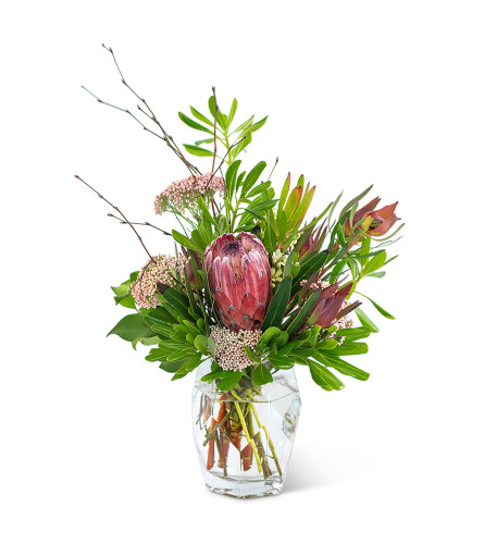 Posh Protea by Country Gardens