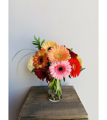 Seize the Daisies