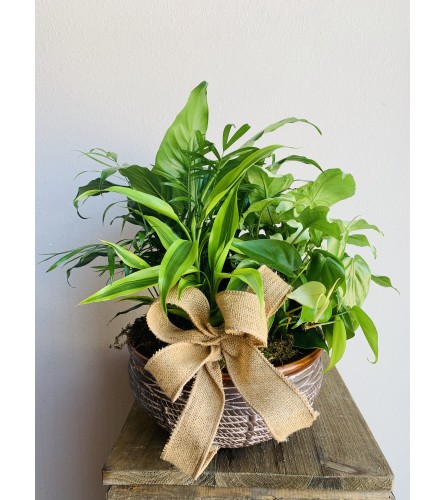 Sweet Planter