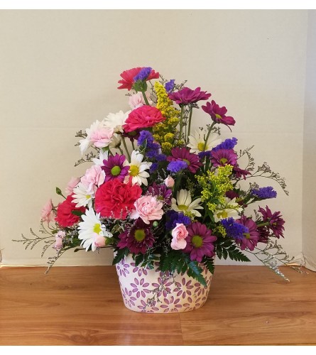 Daisies In Bloom