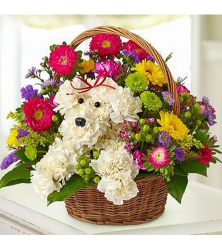 Puppy in a basket - Standard. An arrangement by The Farm and Floral Market.