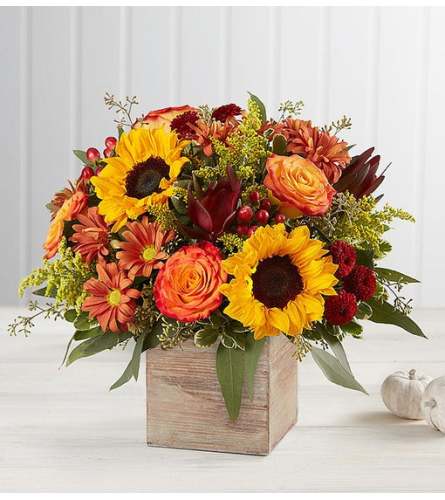 Harvest Radiance Bouquet