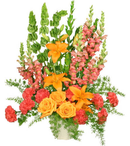 SPIRITUAL SPLENDOR - FSN