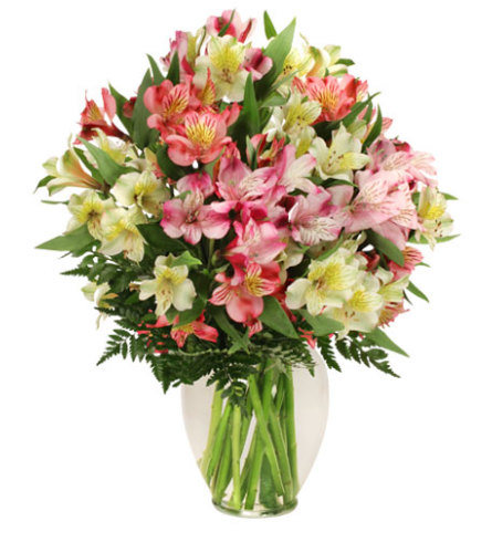 Alluring Alstroemeria Arrangement - FSN