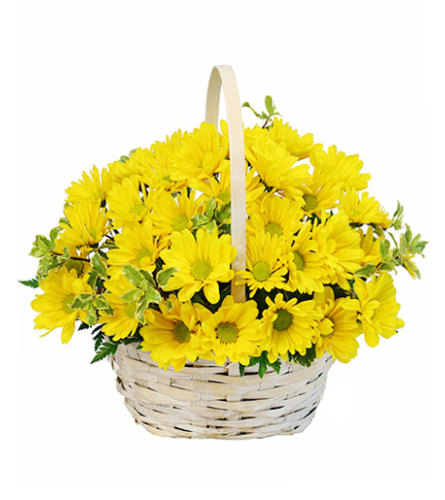 Delightful Smiles Basket of Daisies - FSN