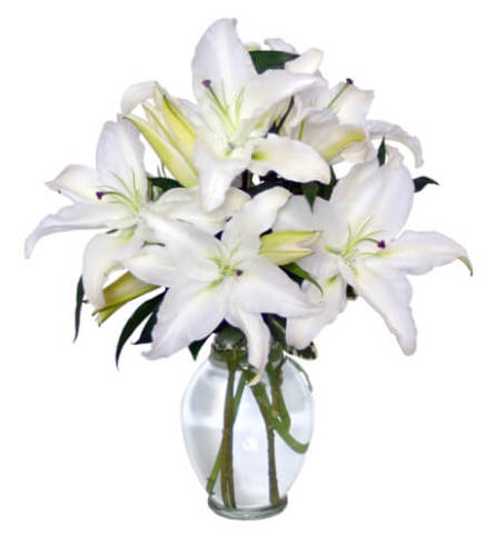 Casa Blanca Lilies Arrangement - FSN
