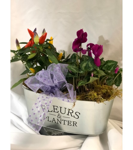 Fleurs and Planters