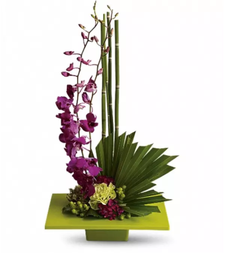 Zen Artistry Orchid