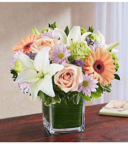 Pastel Cube Arrangement
