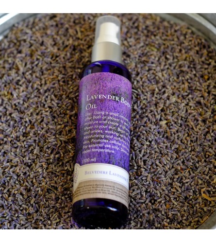 Belvedere Lavender Body Oil