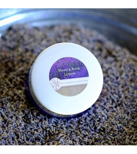 Belvedere Lavender Hand & Body Lotion