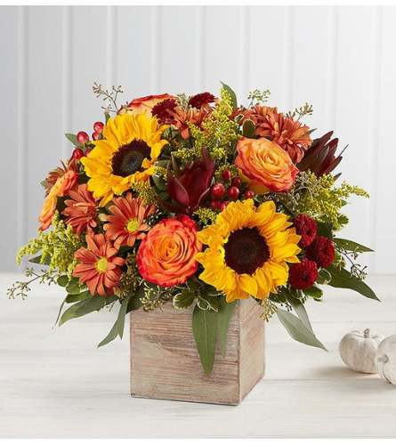 Harvest Glow Arrangement
