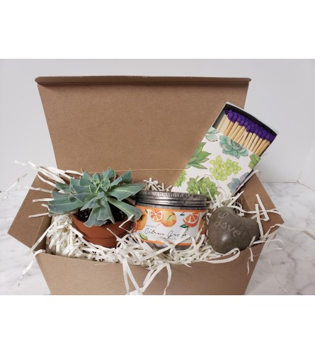 Succulent & Candle Gift Box