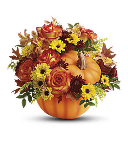 Fall Wishes Pumpkin