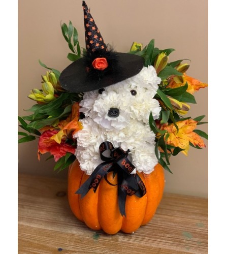 Halloween Puppy