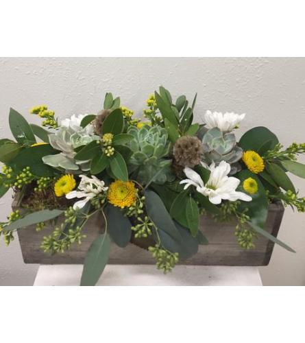 Long Succulents and Bloom Box
