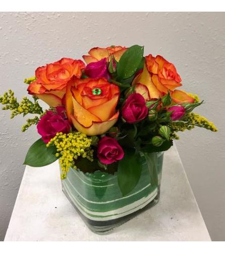 Roses in Cube Squared