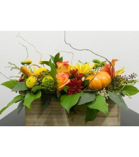 Pumpkins and Gourds Centerpiece
