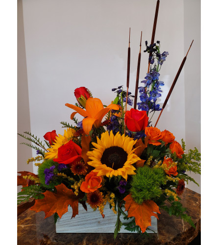 BBF's Fall Explosion