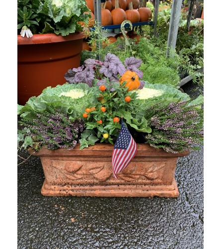 mixed fall planter