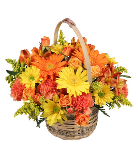 Thanksgiving Cheer Giver Basket