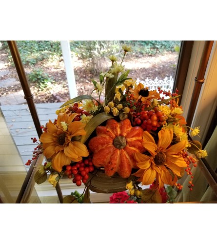 Wonders of Fall