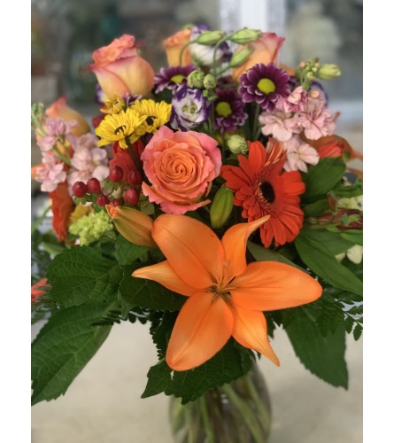 SWEET AUTUMN BF1554