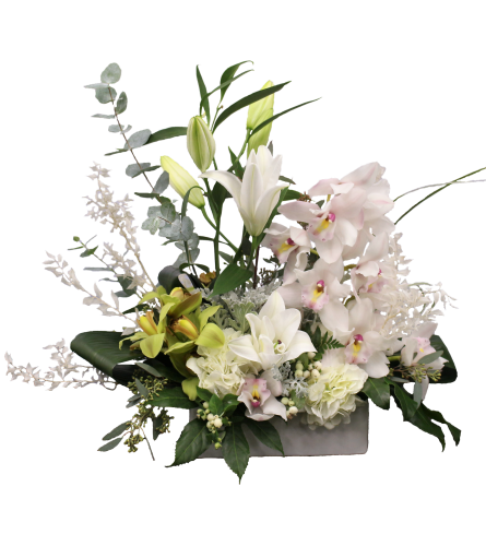 Exquisite Orchids