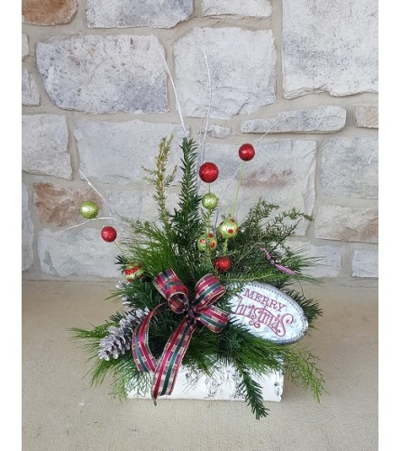 Christmas Enchantment