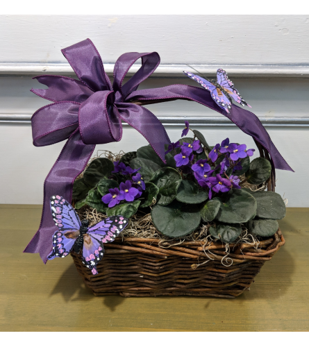 Pretty Purple Violet Basket