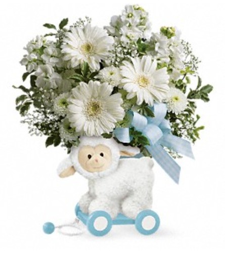 Sweet Little Lamb in Blue