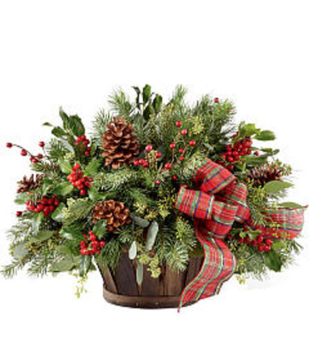 Holiday Homecoming1