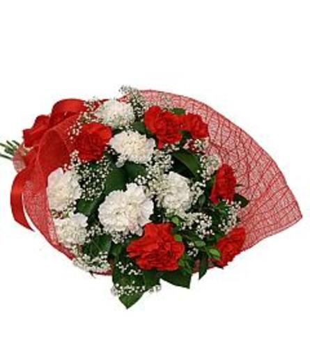 Candy Cane Carnation Bouquet