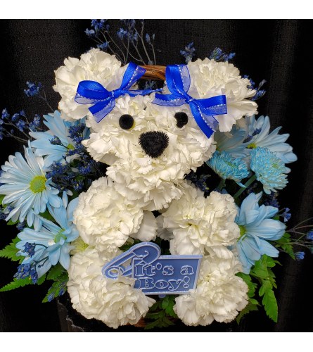 New Baby Puppy Basket